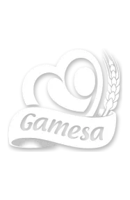 gamesa